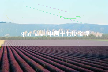 大竹中国十七块金牌