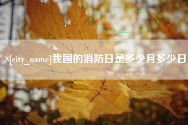 大竹我国的消防日是多少月多少日