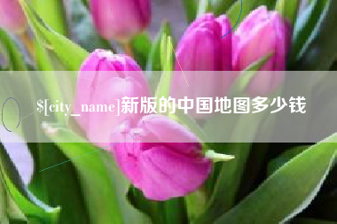大竹新版的中国地图多少钱