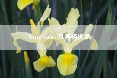 大竹九宫格优点