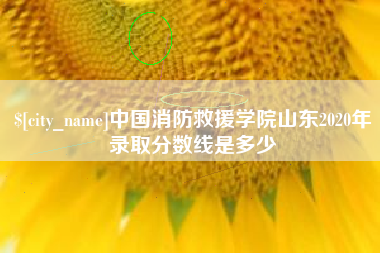 大竹中国消防救援学院山东2020年录取分数线是多少