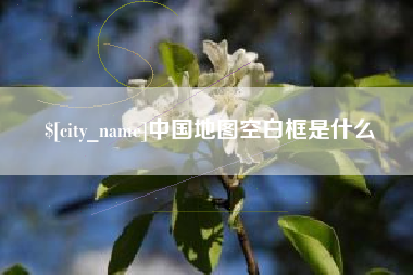 大竹中国地图空白框是什么