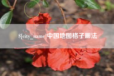 大竹中国地图格子画法