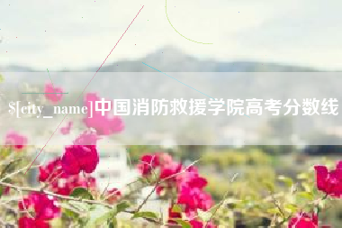 大竹中国消防救援学院高考分数线