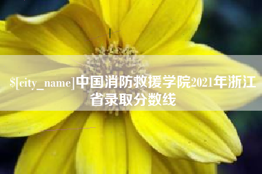 大竹中国消防救援学院2021年浙江省录取分数线