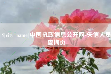 大竹中国执政信息公开网-失信人员查询页