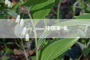 大竹中国第9金