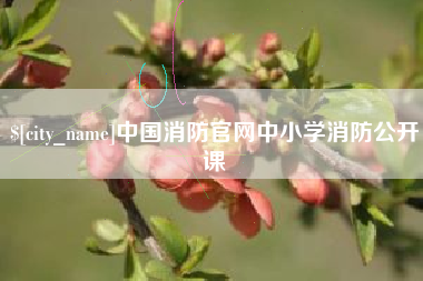 大竹中国消防官网中小学消防公开课