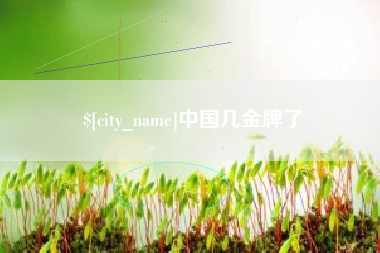 大竹中国几金牌了