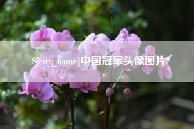 大竹中国冠军头像图片