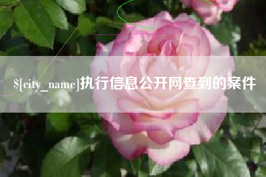 大竹执行信息公开网查到的案件