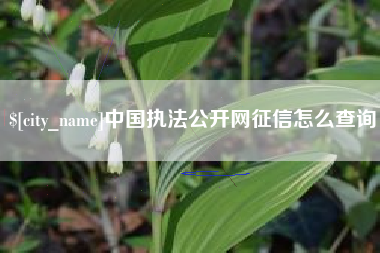 大竹中国执法公开网征信怎么查询