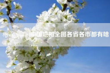 大竹中国地图全图各省各市都有啥