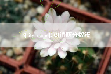 大竹2021消防分数线