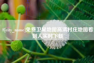 大竹免费卫星地图高清村庄地图看到人实时下载