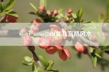 大竹2021年九宫格风水