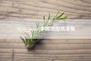 大竹中国地图精准版