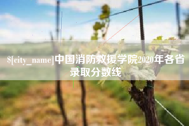 大竹中国消防救援学院2020年各省录取分数线