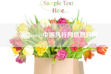 大竹中国执行网信息官网