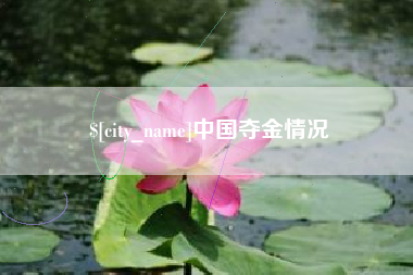 大竹中国夺金情况