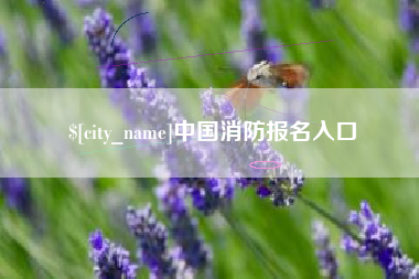 大竹中国消防报名入口