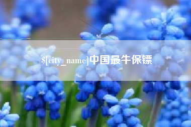 大竹中国最牛保镖