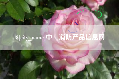 大竹中囯消防产品信息网