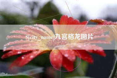 大竹九宫格龙图片