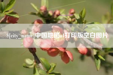 大竹中国地图a4打印版空白图片