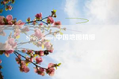大竹中国地图精细