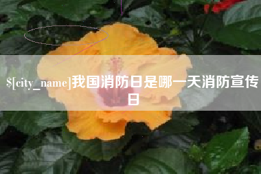 大竹我国消防日是哪一天消防宣传日