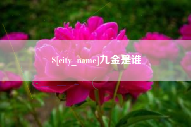 大竹九金是谁