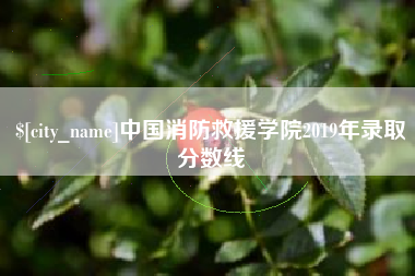 大竹中国消防救援学院2019年录取分数线
