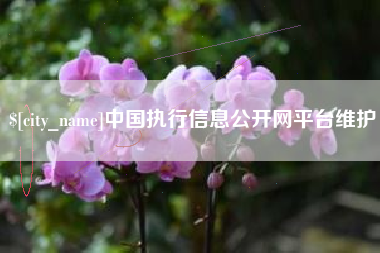 大竹中国执行信息公开网平台维护