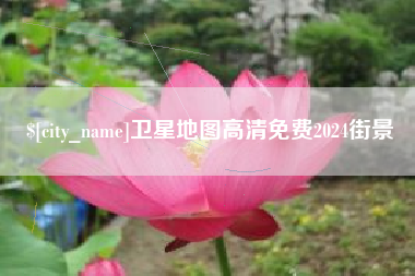 大竹卫星地图高清免费2024街景