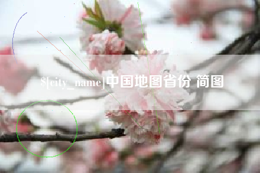 大竹中国地图省份 简图