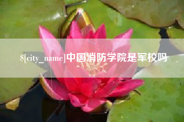 大竹中国消防学院是军校吗