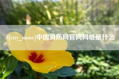 大竹中国消防网官网网址是什么