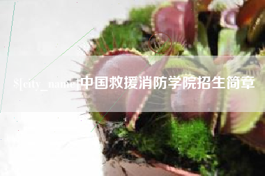 大竹中国救援消防学院招生简章