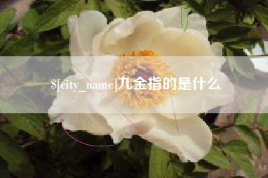 大竹九金指的是什么