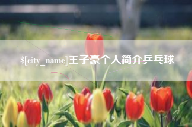 大竹王子豪个人简介乒乓球