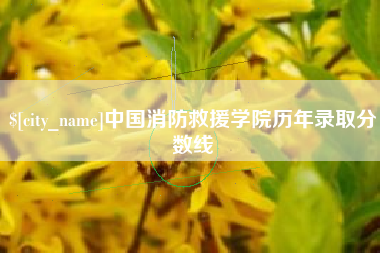大竹中国消防救援学院历年录取分数线