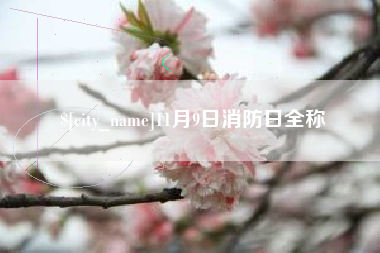 大竹11月9日消防日全称