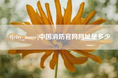 大竹中国消防官网网址是多少