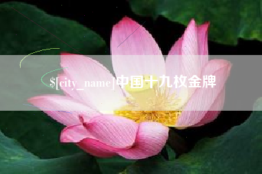 大竹中国十九枚金牌