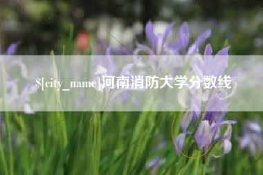 大竹河南消防大学分数线
