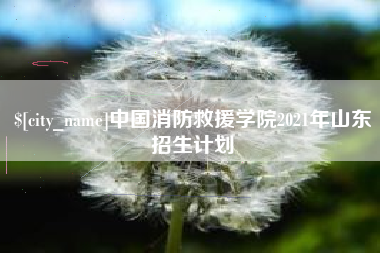 大竹中国消防救援学院2021年山东招生计划