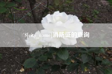 大竹消防证的查询