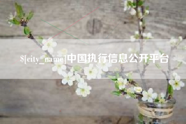 大竹中国执行信息公开平台