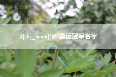 大竹2024奥运冠军名字